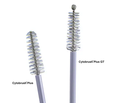 Cytobrush Plus cellprovsborste
