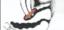 MXPERv.webp