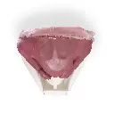 Inguinal_Top_April2025_5_ba3ee27a-64bb-4d06-b0be-984c19545804.webp