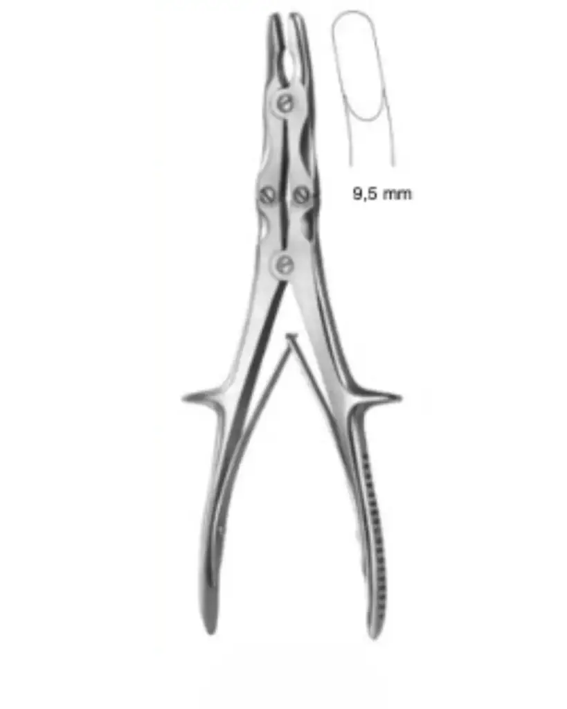 Ben rongeur, STILLE-RUSKIN