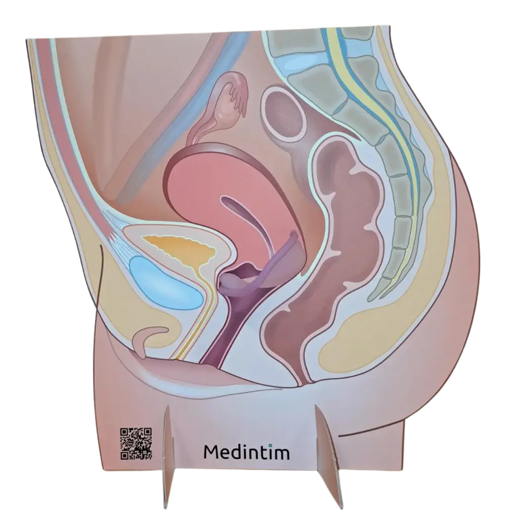 Visningsdisplay Caya