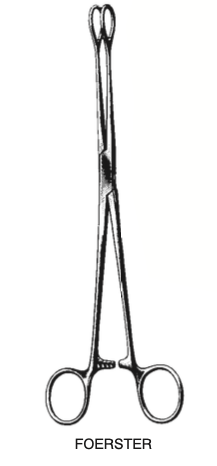 Tång Svamp Foerster 