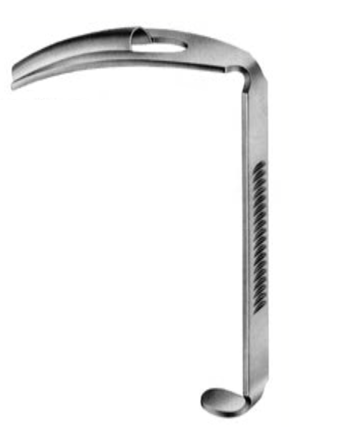 Spatel tunga Russel-Davis