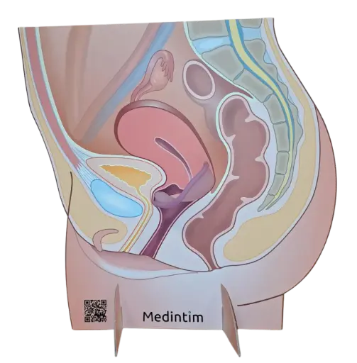 [Atrapp Caya] Visningsdisplay Caya