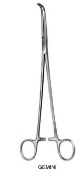 [13431-28] Peang Gemini