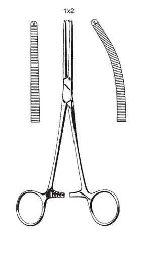 Peang Rochester-Ochsner