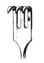 [19220-03] Hake Nerv/Sår Reda 