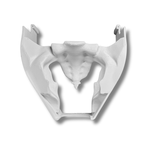 [MTTPELI] Male Pelvis (Class I)